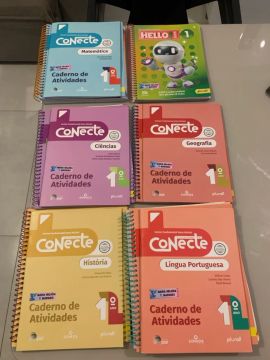 Livro 1º Ano - serie conecte escola santa edwiges