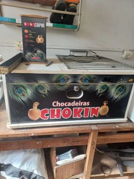 Chocadeira