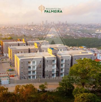Alugo apartamento no Recanto da Palmeira