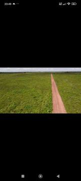 Fazenda Arrendamento 2.300hect em Vila Rica MT 12 saca /hect