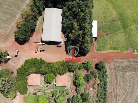 Fazenda à venda em Santa Zélia no Paraná. Com 254 alqueires sendo 180 de plantio, 10 alque