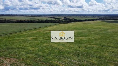 Fazenda com 6 dormitórios à venda,  m² por R$ 140.000.000 - Centro - Terra Nova do Norte/M