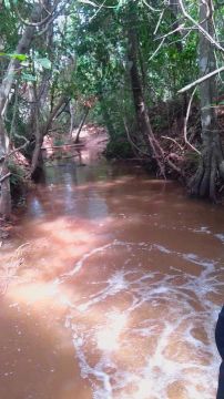 CHÁCARA TOP NO BANANAL, COM CASA E RIO, 25 MINUTOS DE IMPERATRIZ