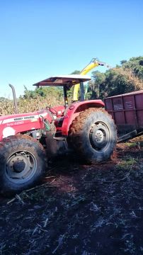 Trator Massey Ferguson 4290