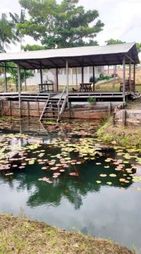 Chácara no Massaranduba I.
