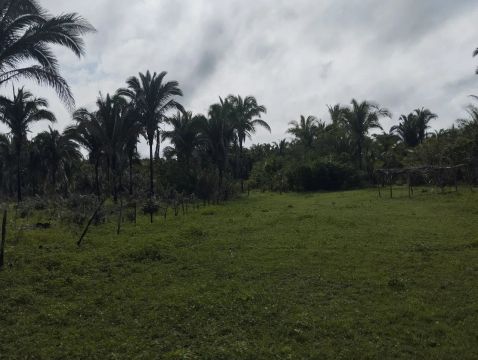 Propriedade 8 km de Vargem grande estrada entra inverno verão 