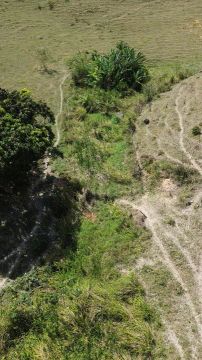 Sítio de 4.7 hectares em União dos Palmares 