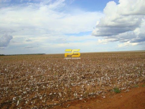 Fazenda 90000 hectares em Mato Grosso, a venda por R$5.000.000.000,00.