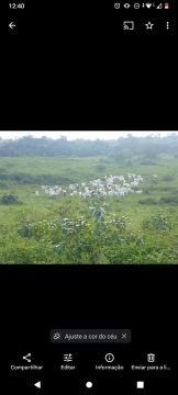 Hectares e chácaras  60mil