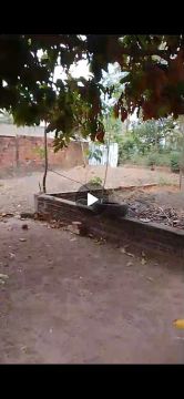 Vendo terreno no bairro Rio Grande zona rural