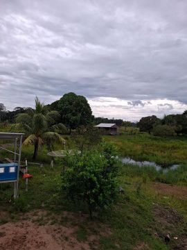 Vedo uma ária de terra 