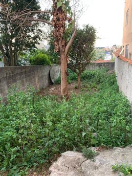 Casa em Rua das Tulipas - Vila Lúcia - São Paulo/SP