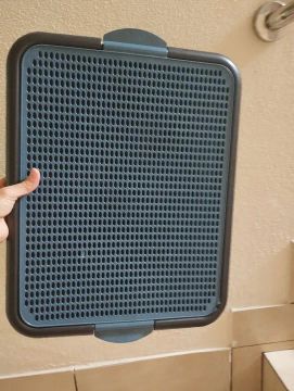 Bandeja sanitária para Pet...