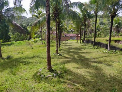 Vendo excelente sitio Em catu Bahia 