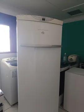 Frizer Brastemp 228lts ótimas condições