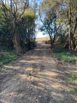 Chácara de 2 alqueires a 12 km da cidade