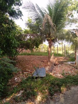 Sitio * 