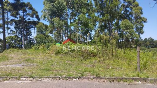 Lote em Rua Camélias - Centro - São Francisco de Paula/RS