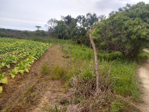 CHÁCARA EM SJ TRIUNFO DE 1 MIL M2 POR R$ 14 MIL ACEITO PARCELAMENTO