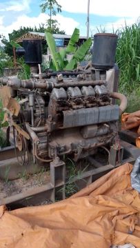 Motor MWM V8