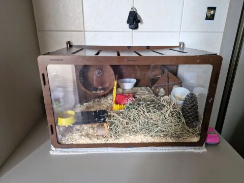 Gaiola para Hamster de Madeira