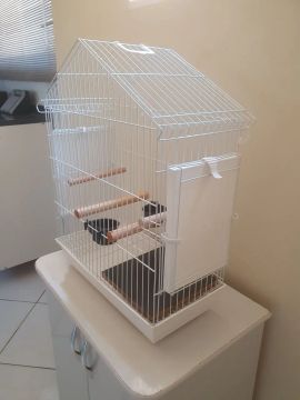 Gaiola poleiro para calopsitas mansas