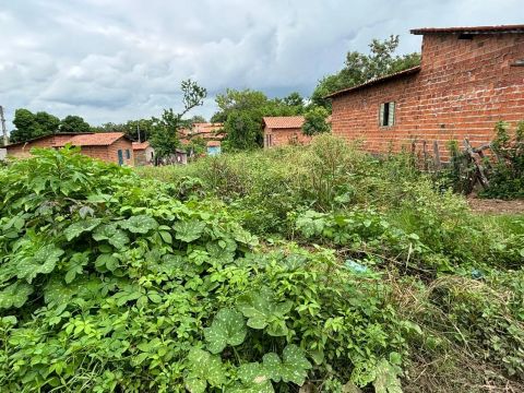 LOTE FLORIANO - PIAUÍ 