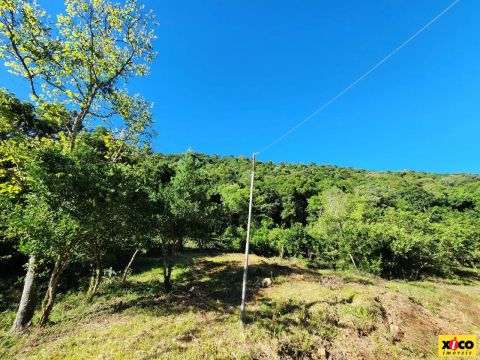Sítio / Chácara para Venda em Nova Petrópolis, Linha Pirajá Baixa
