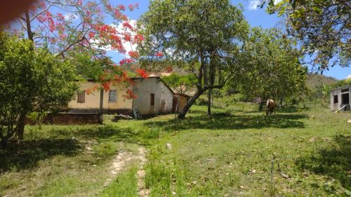 Sítio com 2.000m² em Amado Bahia - Mata de São João - BA