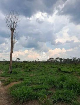 84 alqueires de terra disponível venda próximo a vila Samue