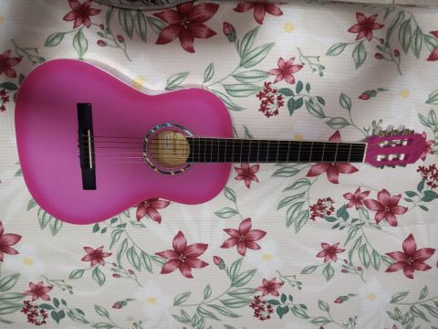 Violão Giannini Rosa 