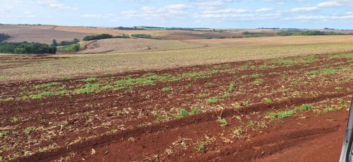 Fazenda a venda Ortigueira 
