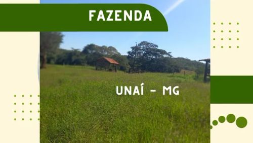 Venda fazenda Unai MG 18 alqueires escriturada e registrada toda preparada para pecuária