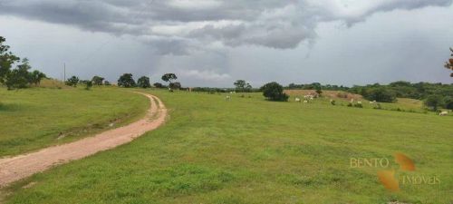 Terra produtiva para cultivo e criação.