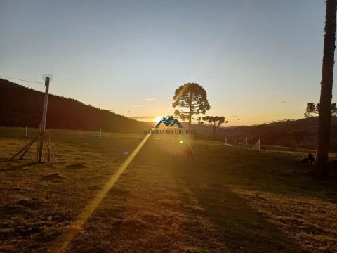 Imóvel para venda com 4 hectares em Perico - São Joaquim - SC