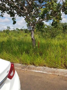 Terreno Lagoa Quente Caldas Novas GO 20,00 X 50,00 = 1000 M2