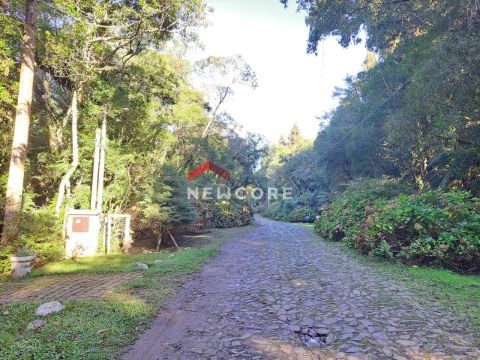 Lote em rua 3 - Alpes - São Francisco de Paula/RS