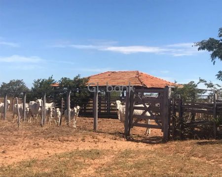 Fazenda/Sítio/Chácara em Varzelândia, no bairro Zona Rural, à venda.