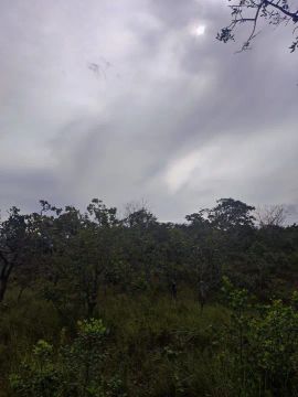 vende 40 hectares de terra bruta 