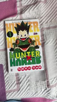 Manga hunter x hunter 