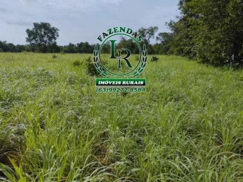 Fazenda/Chácara 23.4 Alqueires Beira Asfalto