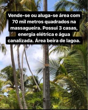 Terreno à venda ou arrendamento para empresas em Massagueira - 70 mil m²