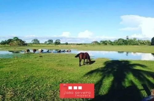 Fazenda para Venda em Várzea Grande, 4 dormitórios, 1 suíte, 4 banheiros