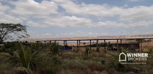 Chácara com 1 dormitório à venda, 45000 m² por R$ 1.400.000,00 - Centro - Astorga/PR