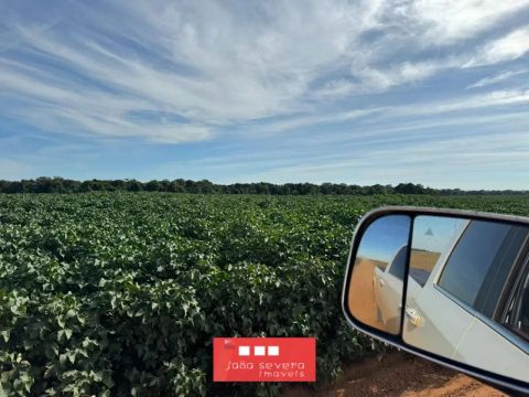 Fazenda para Venda em Nova Mutum