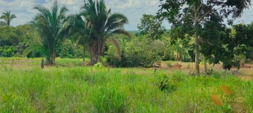 Chácara com 2 dormitórios à venda, 100000 m² por R$ 350.000 - Zona Rural - Nossa Senhora d