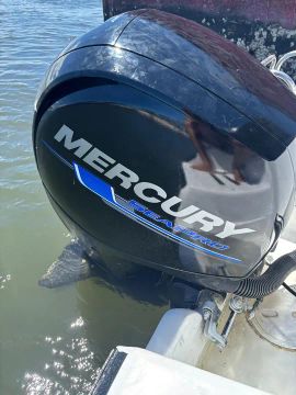 Motor Mercury SeaPro