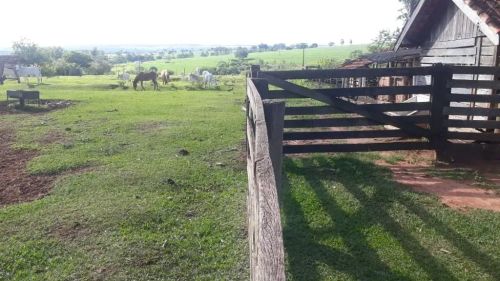 Sítio com 3 dormitórios à venda, 145200 m² por R$ 1.300.000,00 - Zona Rural - Fernão/SP