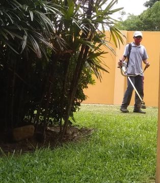 Jardinagem 