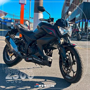 Z300